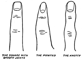 Plate IV.—Part II. DIFFERENT SHAPES OF FINGERS. THE SQUARE WITH SMOOTH JOINTS THE POINTED THE KNOTTY