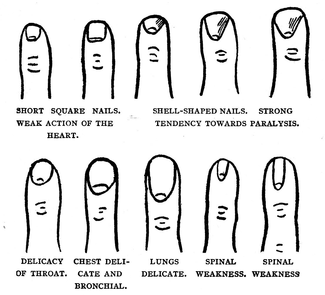 Palmistry for all, by Cheiro.